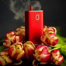 Load image into Gallery viewer, Tita Aio - Straight Fire Vaporium