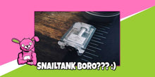 Load image into Gallery viewer, Atmizoo Snail Tank Boro
